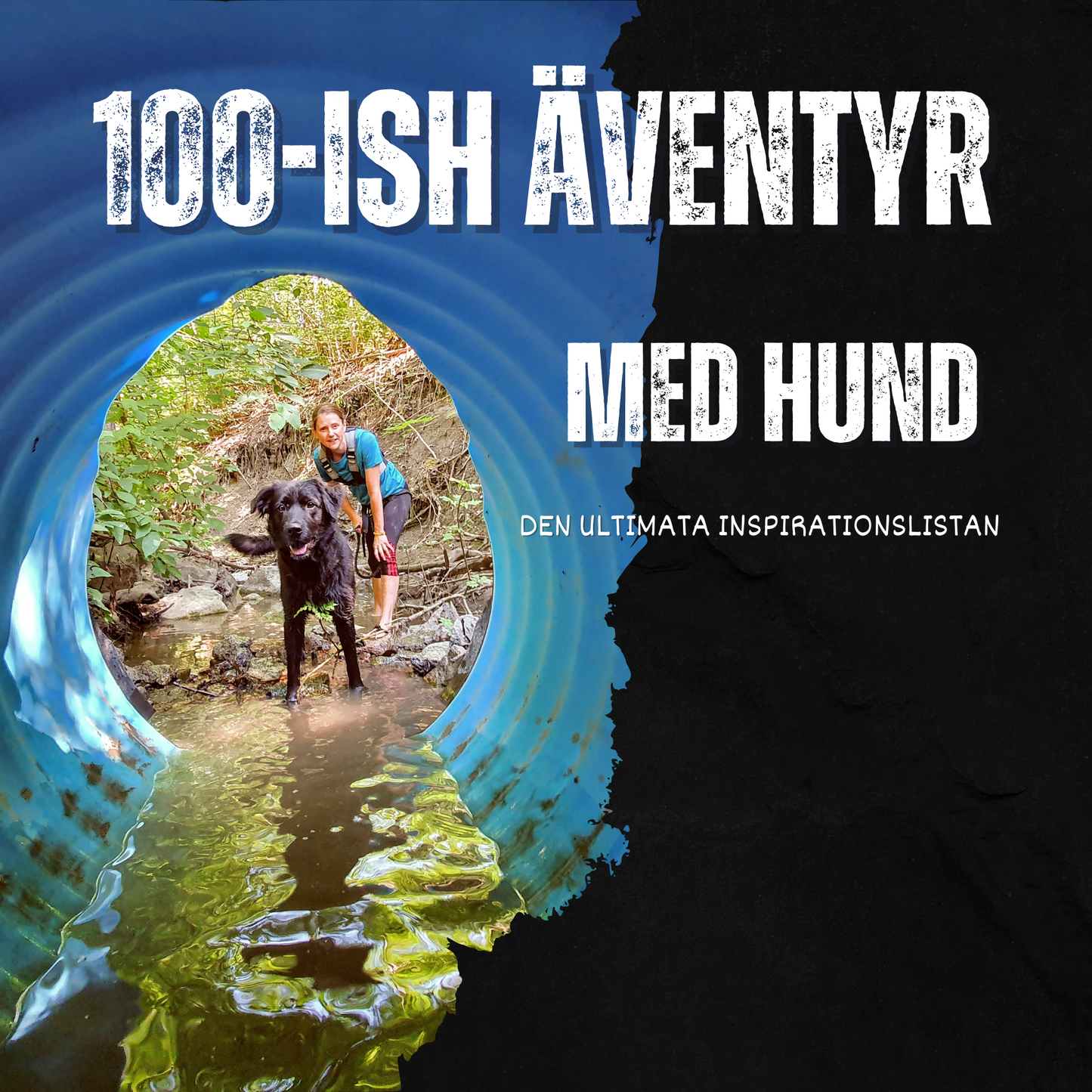 100-ish äventyr med hund - den ultimata inspirationslistan