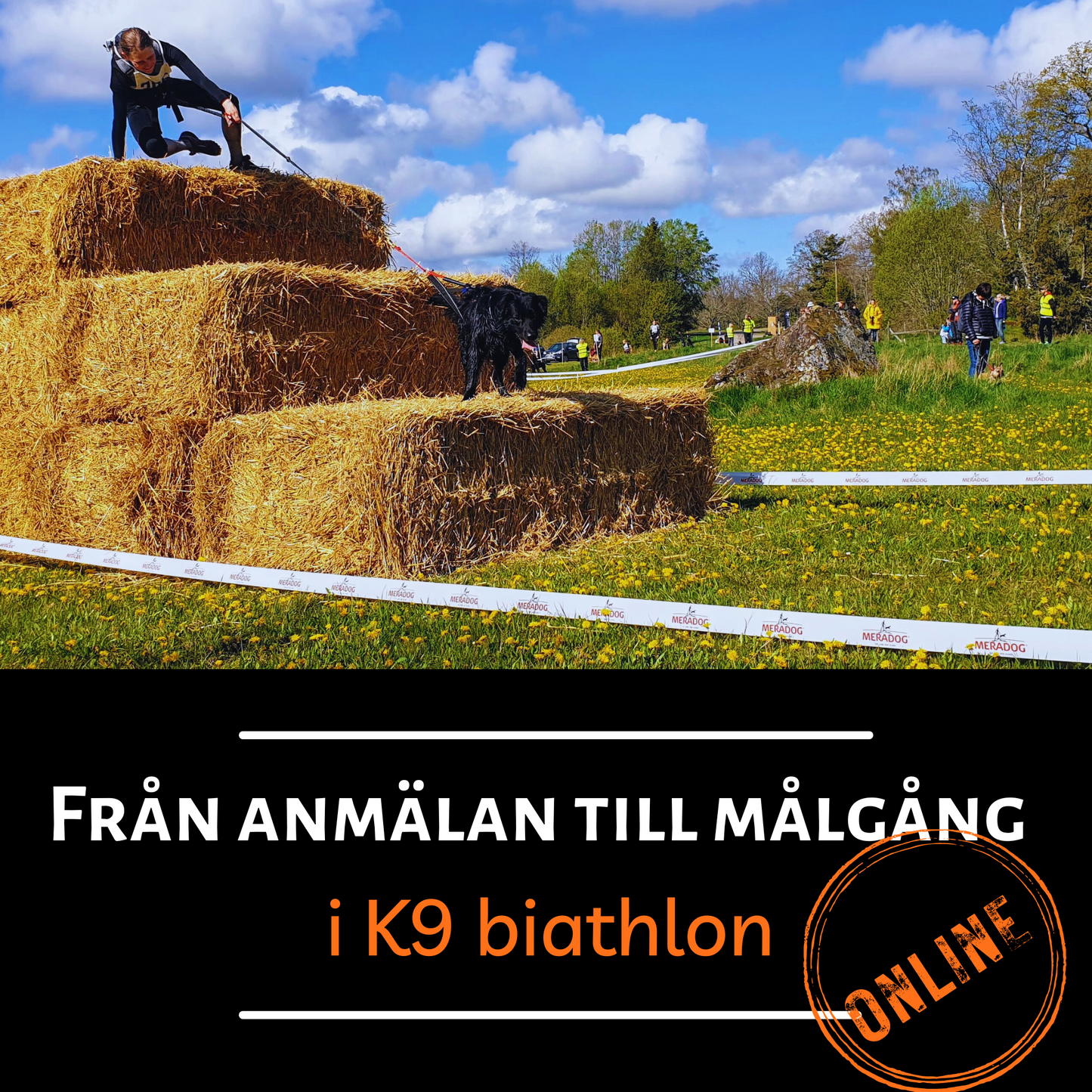 K9 biathlon online - Från anmälan till målgång