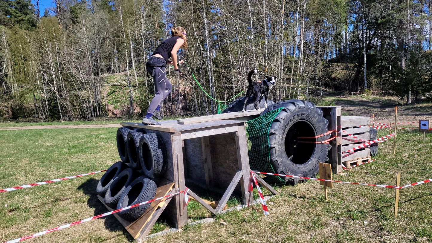 Nybörjarkurs K9 biathlon - Hinderbana med hund