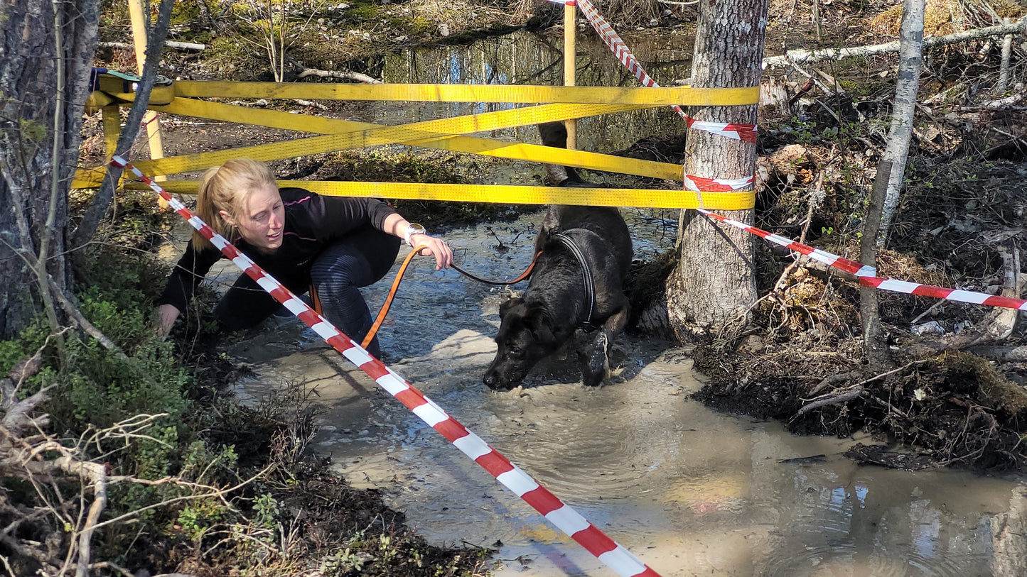 Onlineföreläsning - Börja med K9 biathlon