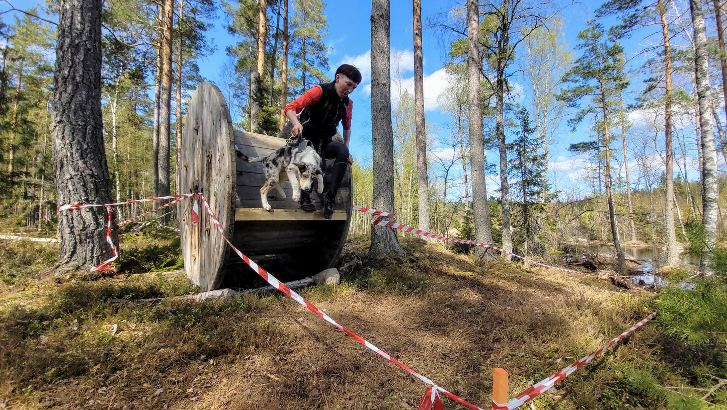 Onlineföreläsning - Börja med K9 biathlon