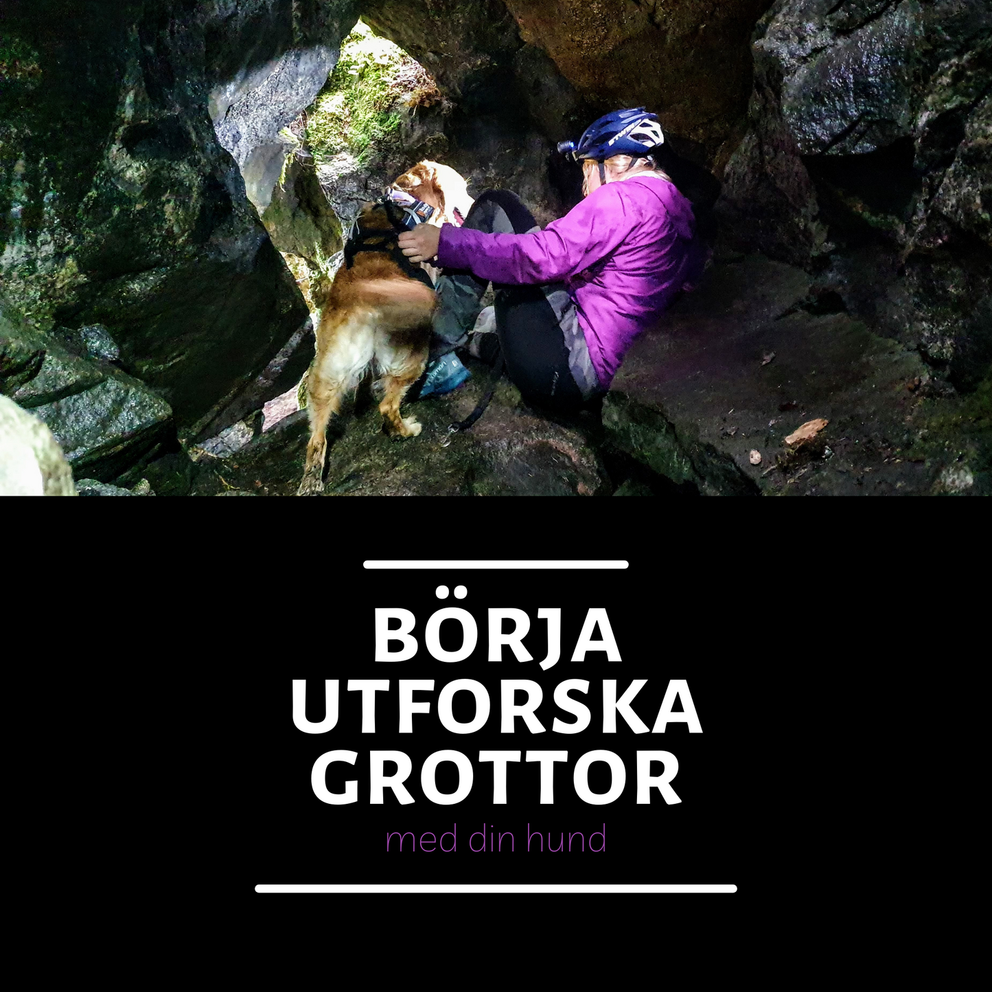 Onlinekurs - Börja utforska grottor med din hund