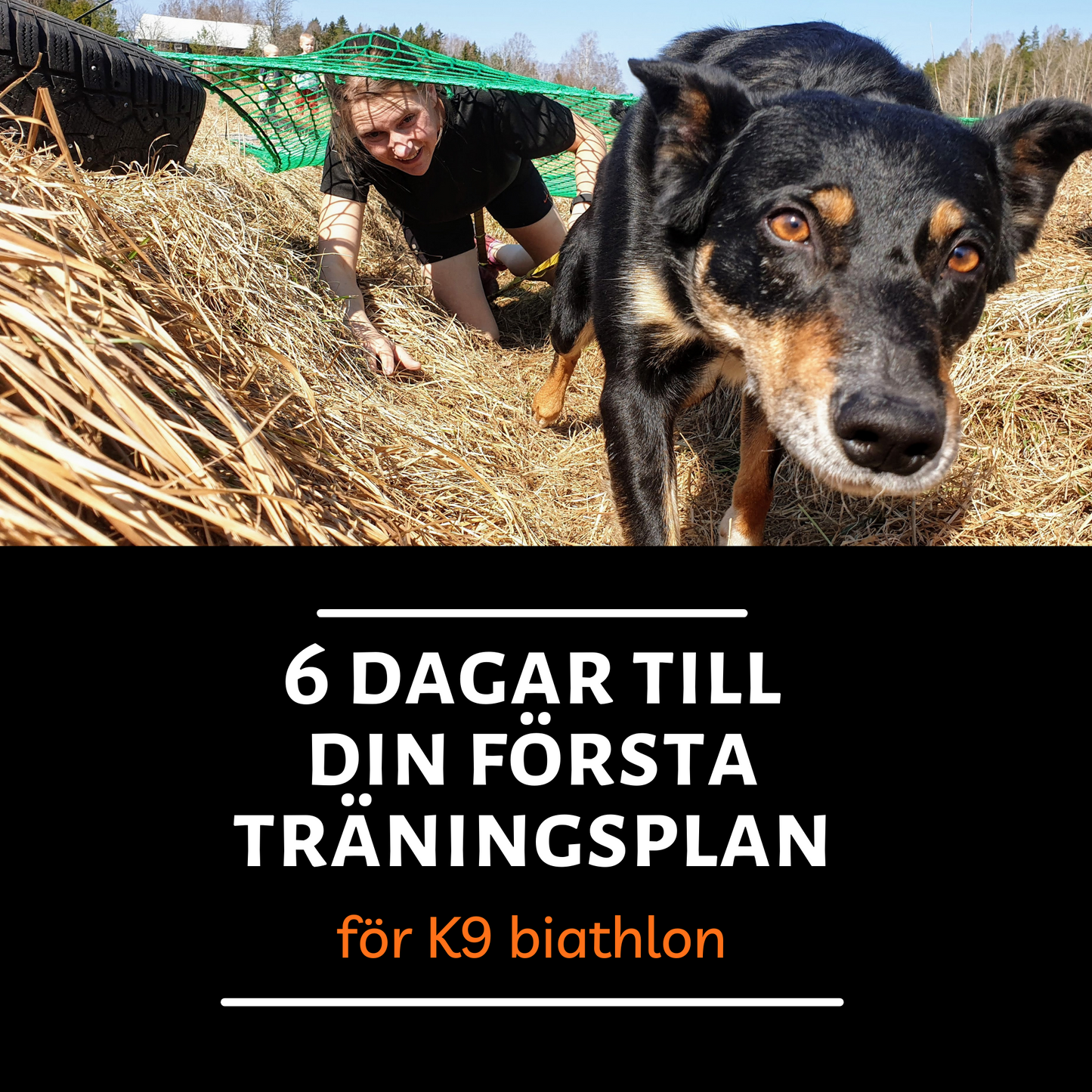 6 dagar till din första träningsplan för K9 biathlon