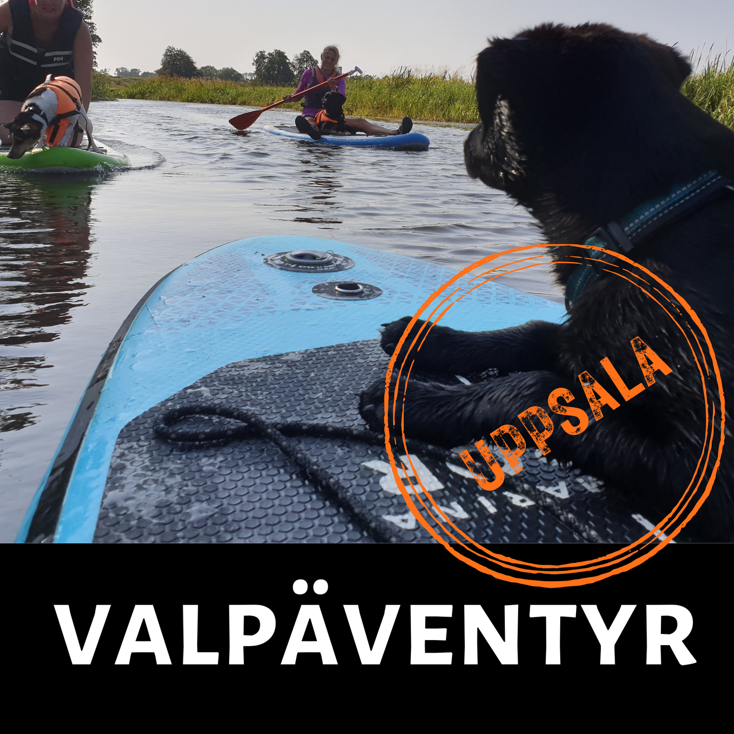 Valpäventyr