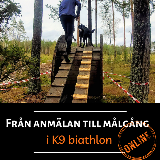 K9 biathlon online - Från anmälan till målgång