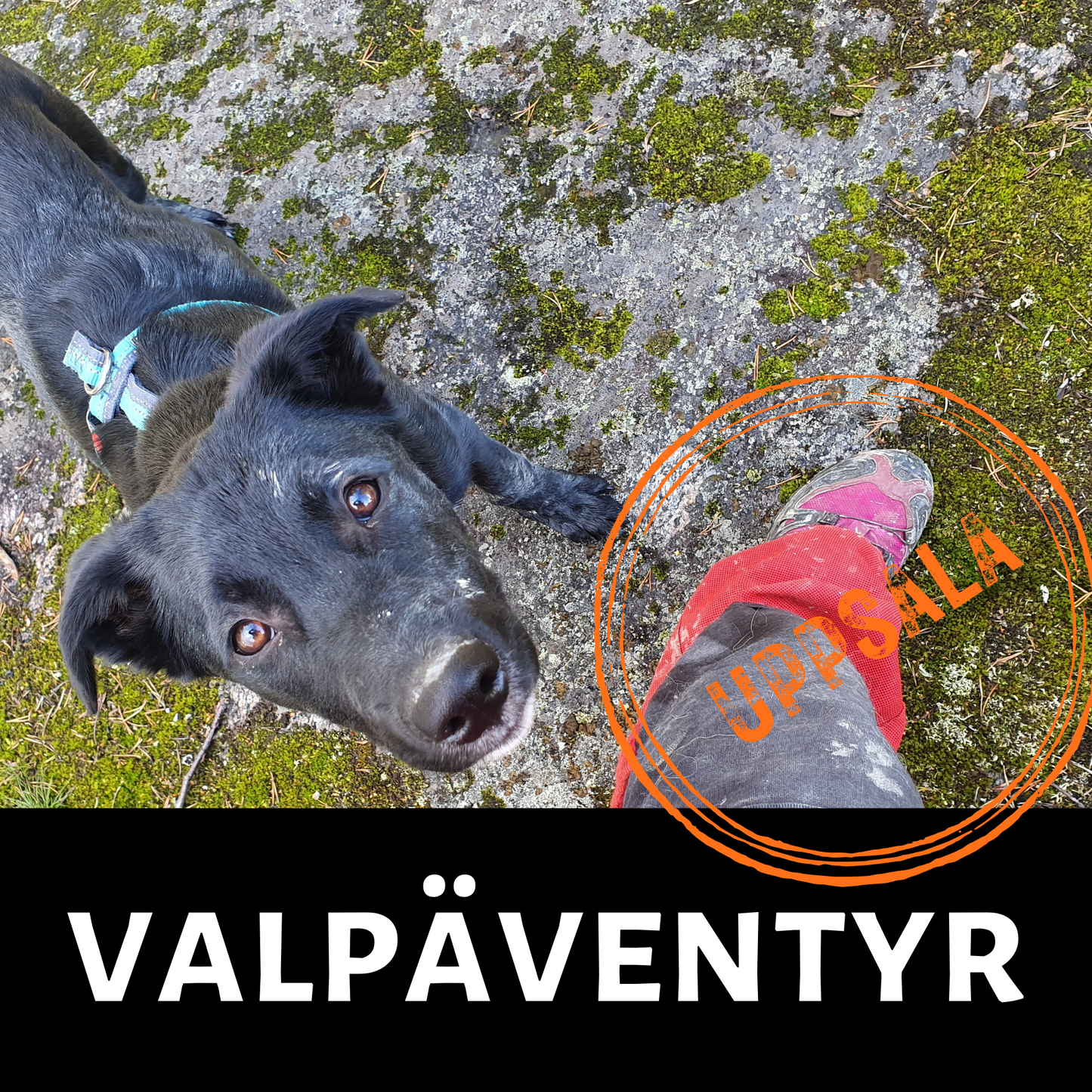 Valpäventyr