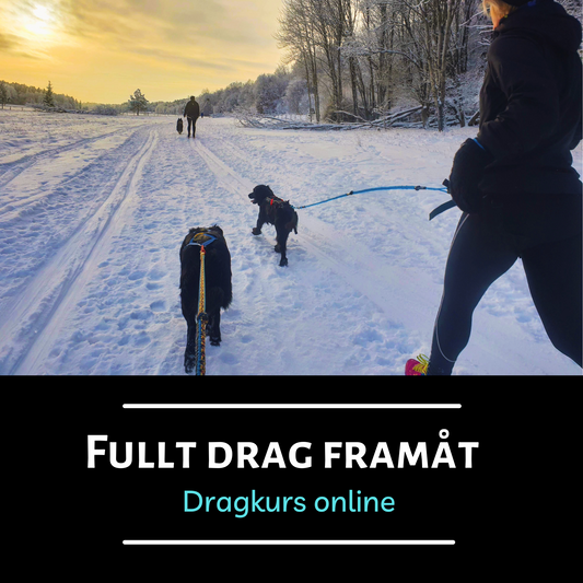 Onlinekurs - Fullt drag framåt!