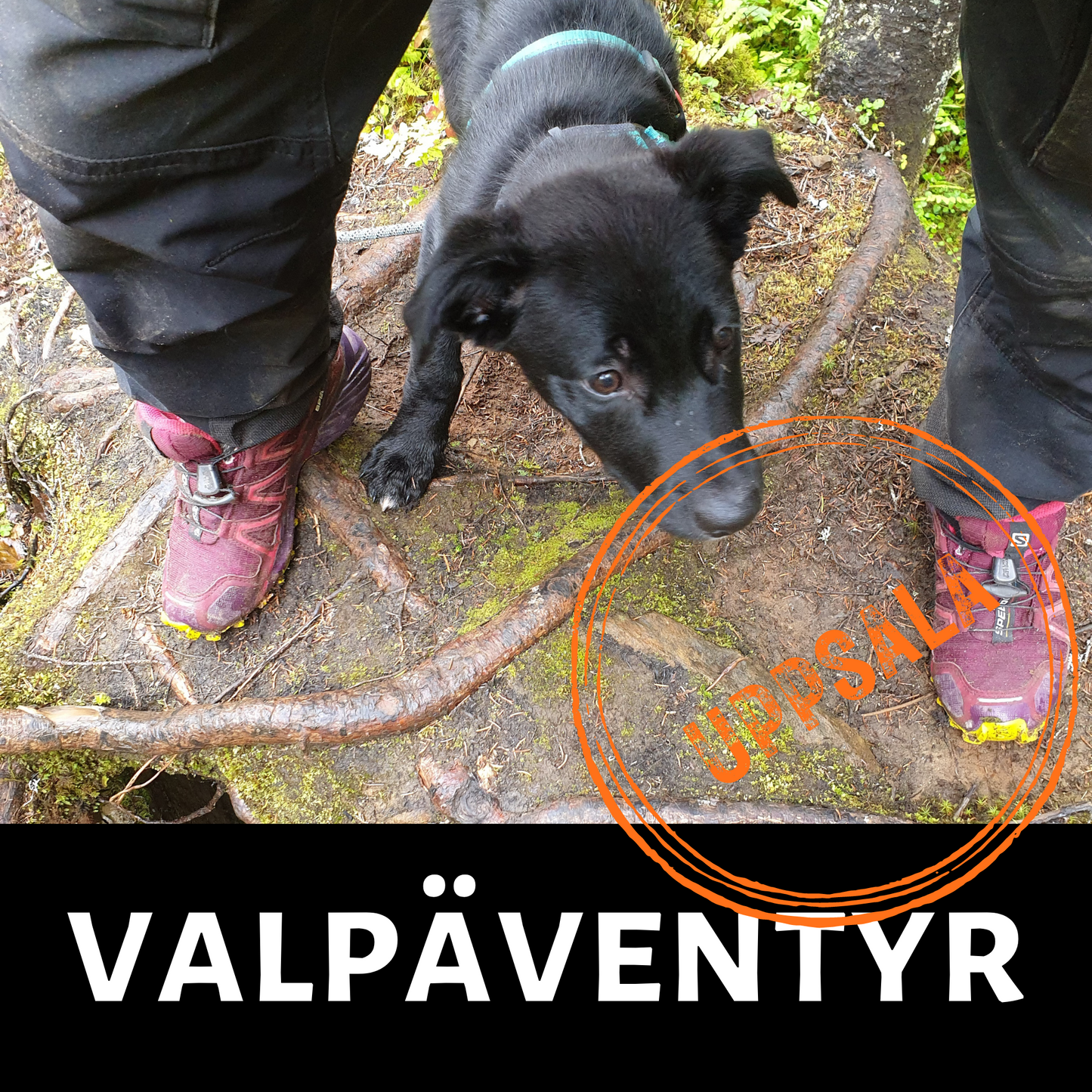 Valpäventyr