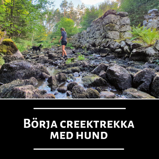Börja creektrekka med hund