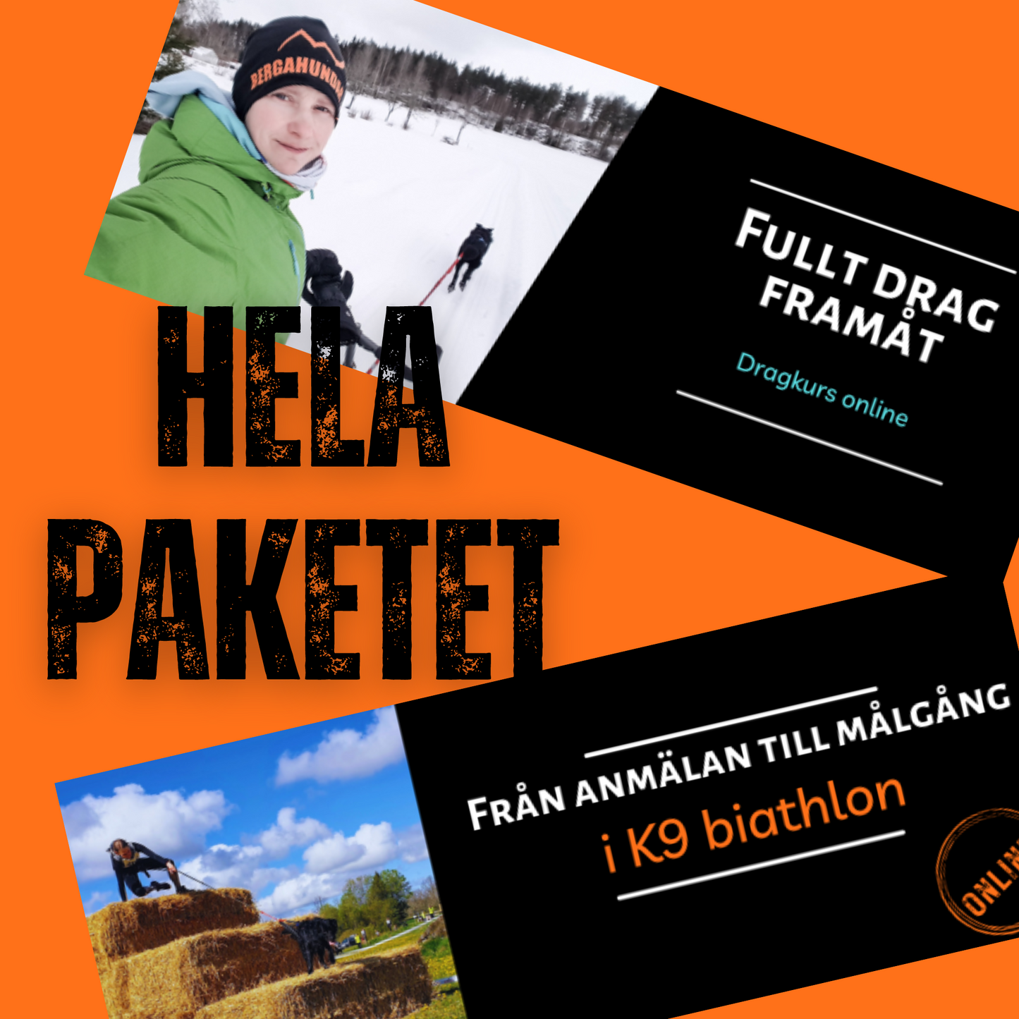 Hela paketet - K9 biathlon och drag online