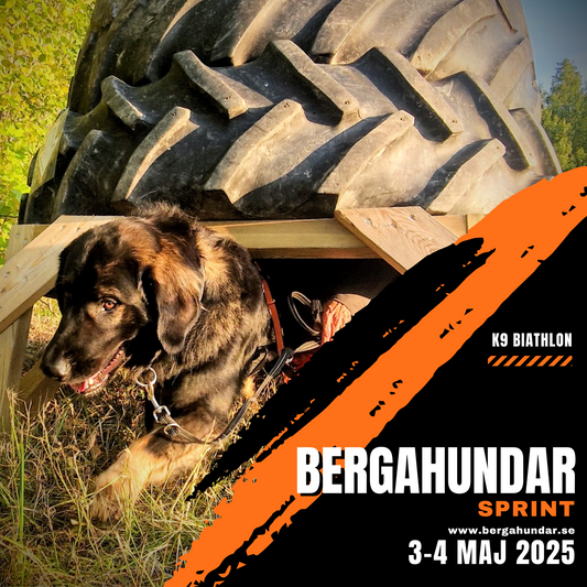 K9 BIATHLON Bergahundar SPRINT 8 vår 2025