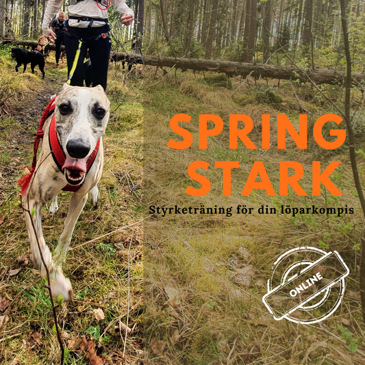 Spring stark