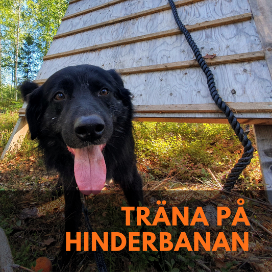Egen träning på Hinderbanan