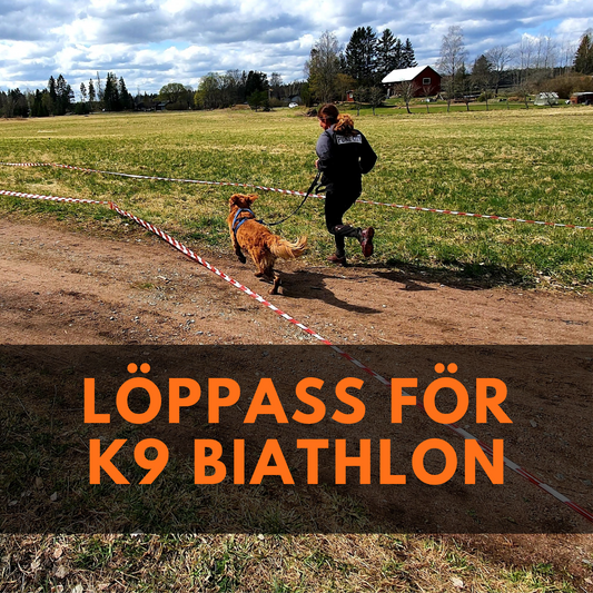 Löppass för K9 biathlon