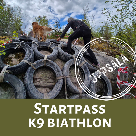Startpass