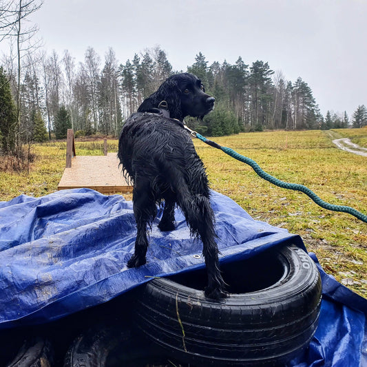Egen träning på Hinderbanan