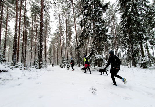 Onlineföreläsning Börja springa med hund