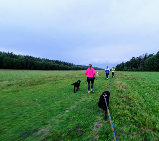 Onlineföreläsning Börja springa med hund