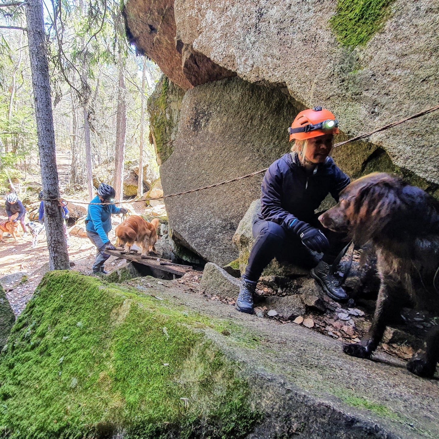 Onlinekurs - Börja utforska grottor med din hund