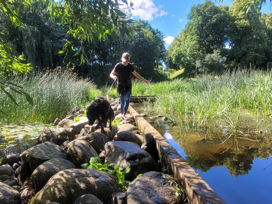 Onlineföreläsning - Börja med K9 biathlon