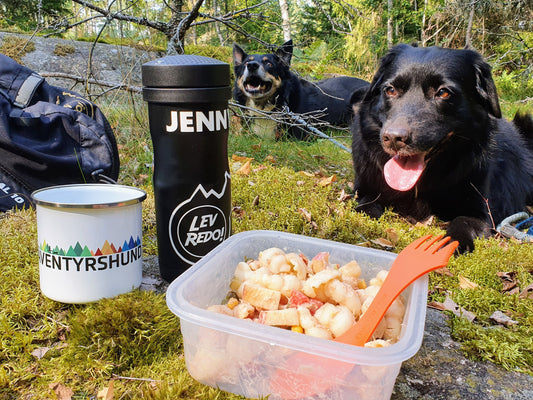 Äventyrshund emaljmugg