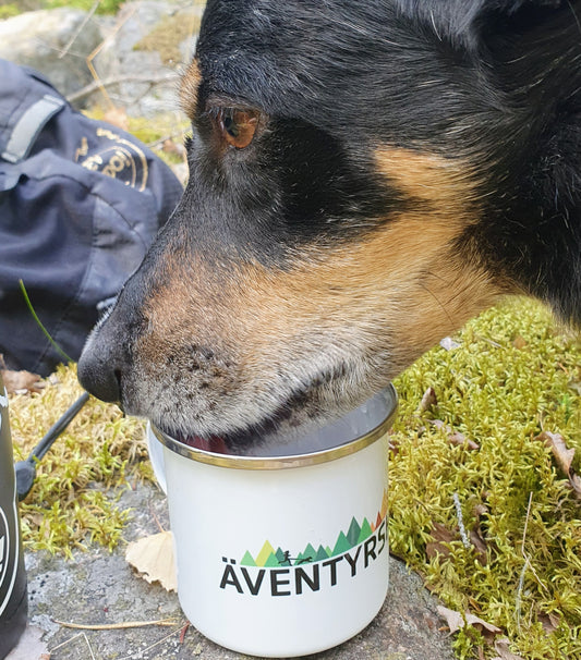 Äventyrshund emaljmugg
