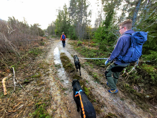 Lev redo! Elit - medlemskap för träning och äventyr i Uppsala