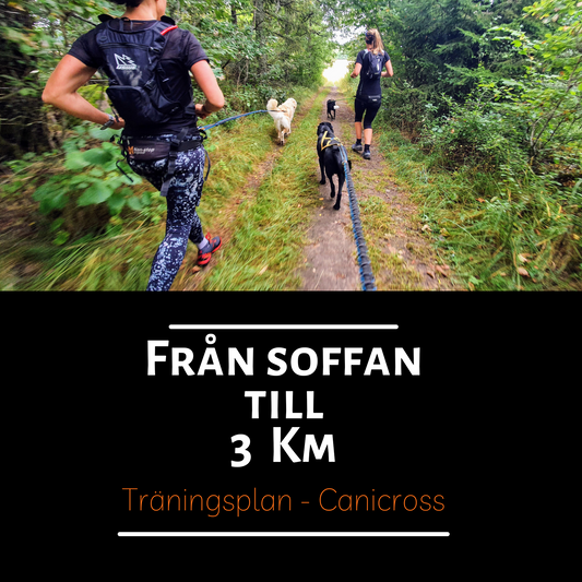 Från soffan till 3 km - träningsplan