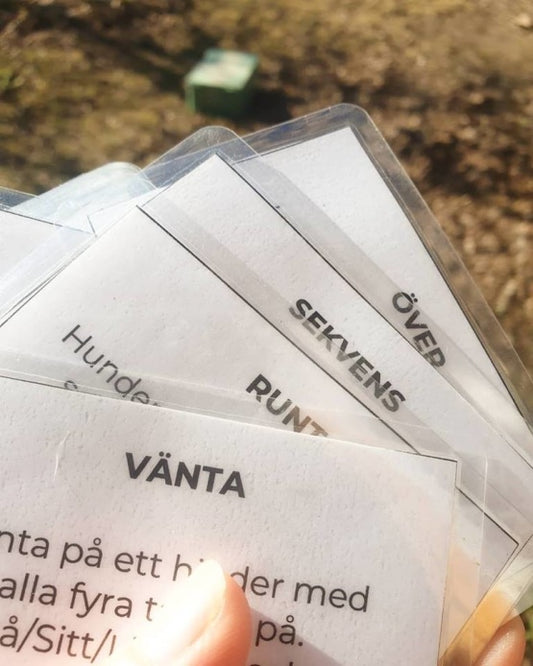 Dogparkour Digitala Träningskort för egen utskrift