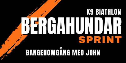 Bangenomgång med John - Bergahundar SPRINT